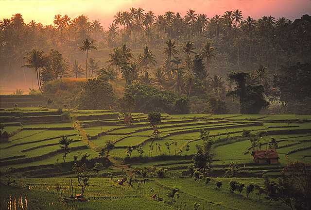 KFL_0798.JPG
