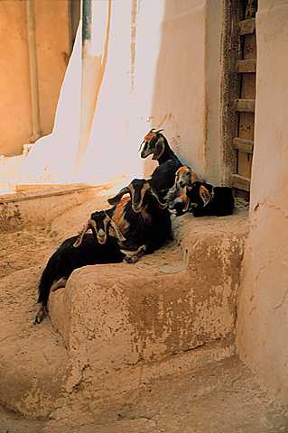 KFL_0859.JPG