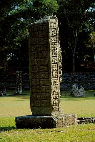 KFL_1020.JPG