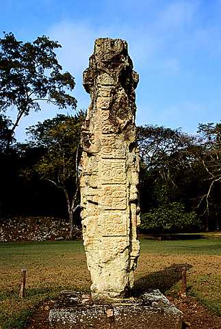 KFL_1021.JPG