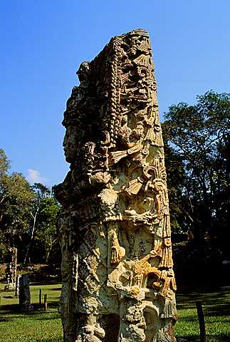 KFL_1026.JPG