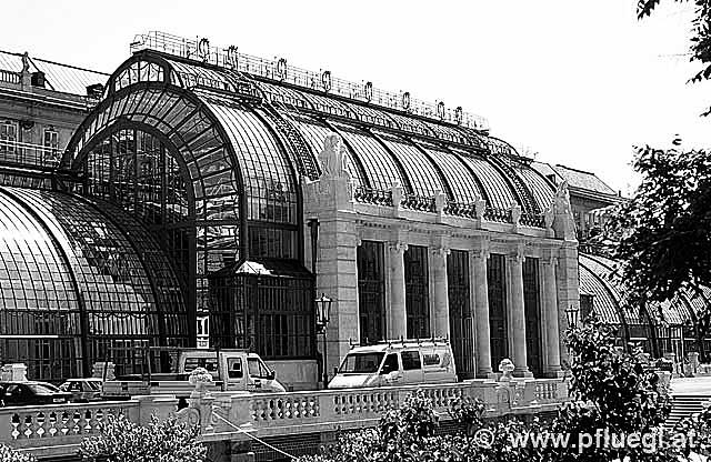 Schmetterlingshaus Burggarten Wien