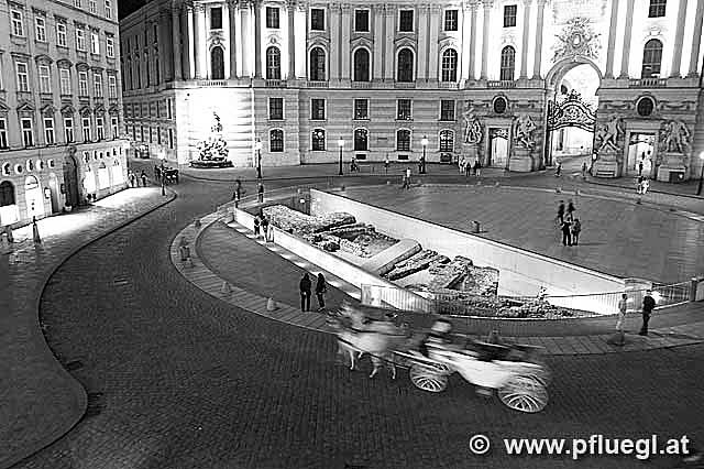 Michaelerplatz Fiaker Wien bei Nacht