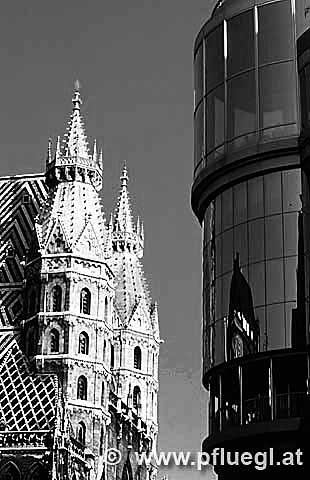 Stephanskirche Dom Platz Haashaus Wienfoto