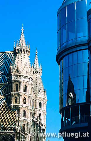 Stephanskirche Dom Platz Haashaus Wienfoto